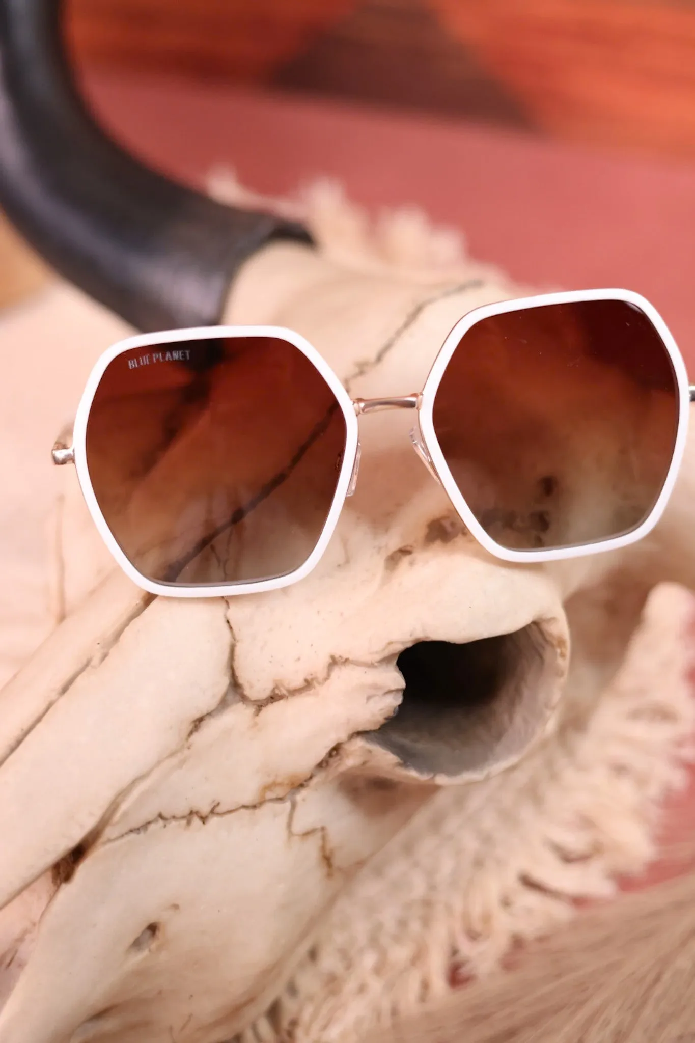 Addyson White and Gold Polarized Sunglasses