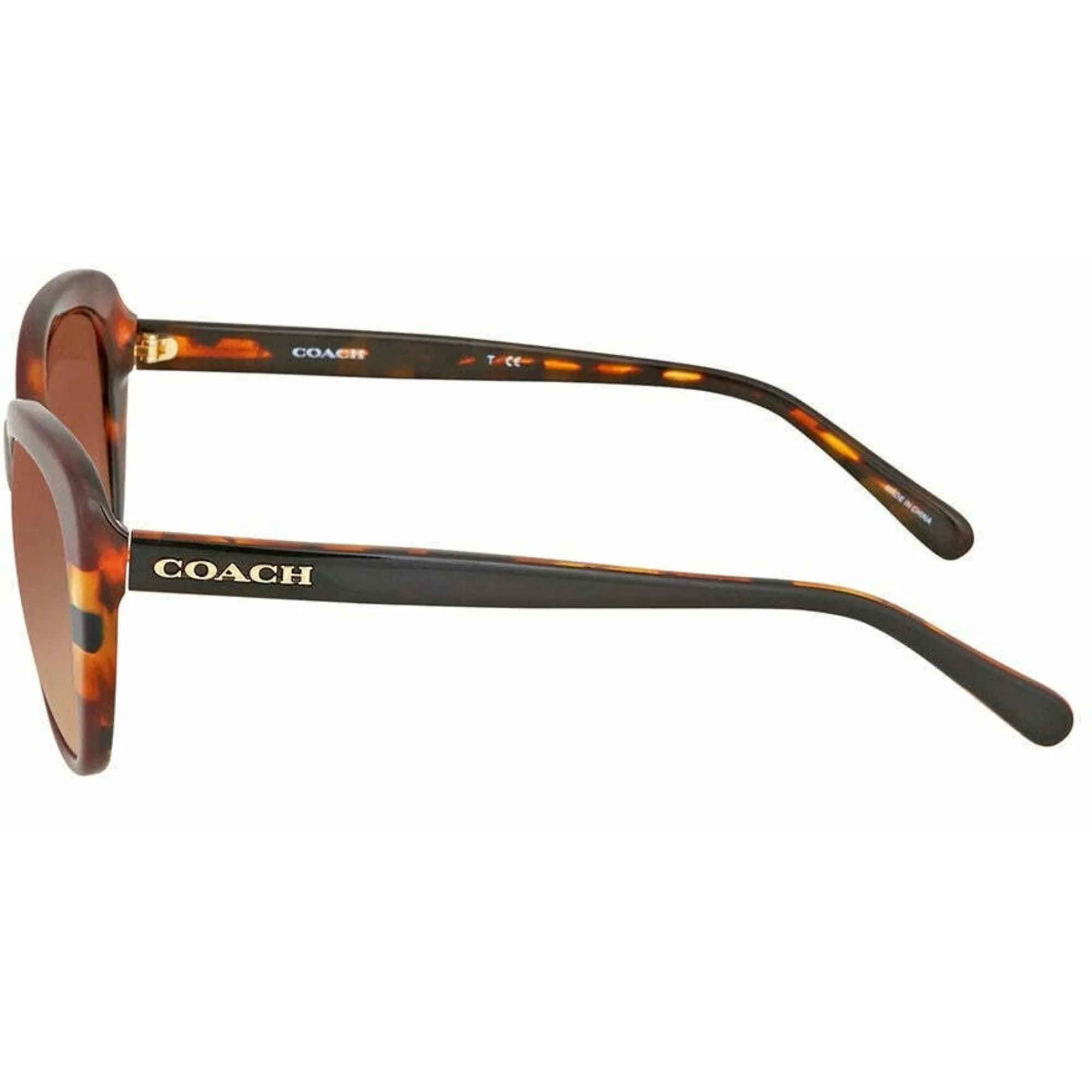 Coach Women's Sunglasses - Aubergine Navy Tortoise Varsit Frame | 0HC8204F 54441354