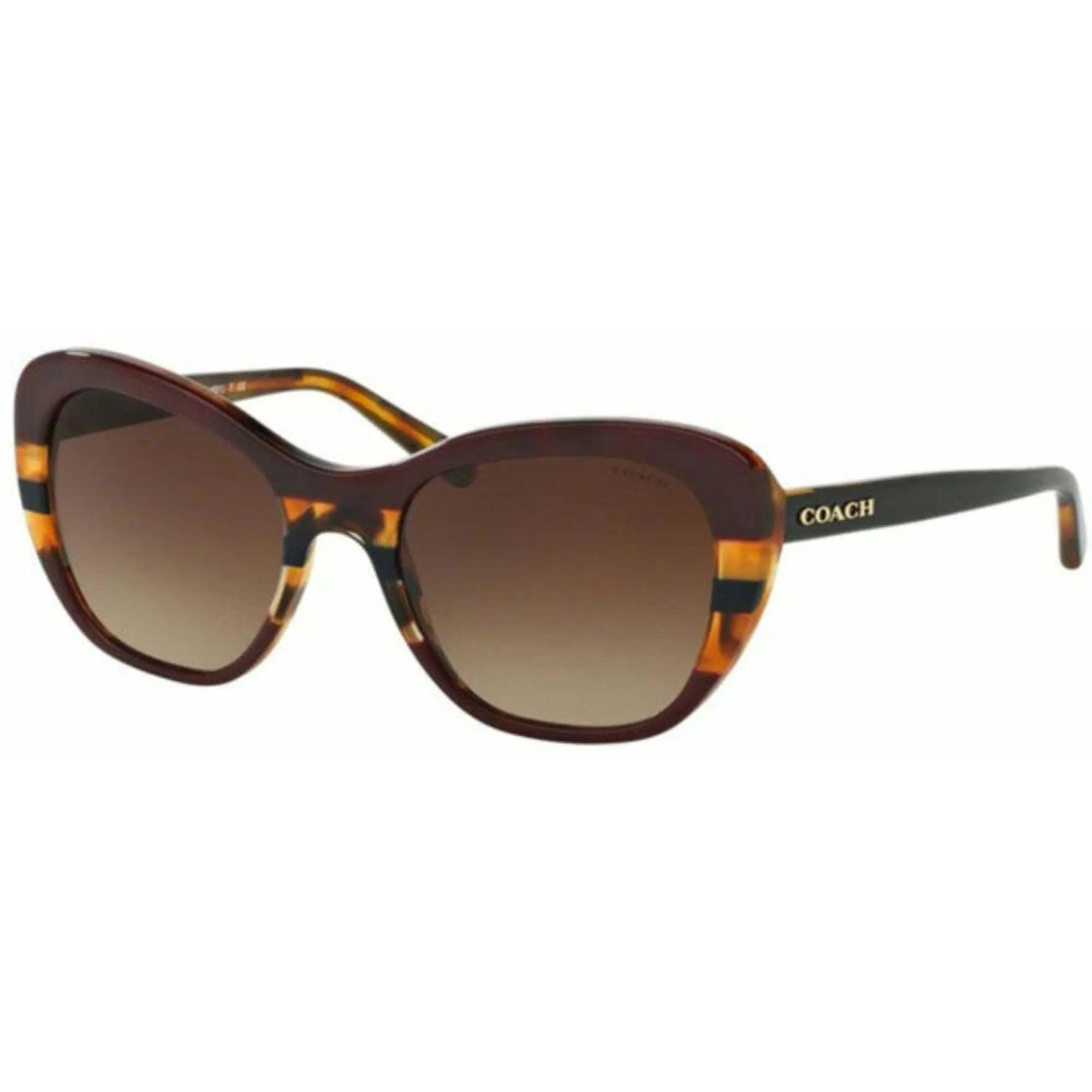 Coach Women's Sunglasses - Aubergine Navy Tortoise Varsit Frame | 0HC8204F 54441354