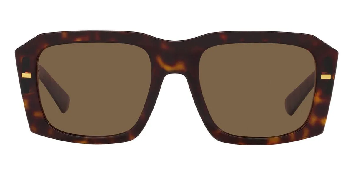 Dolce&Gabbana DG4430 502/73