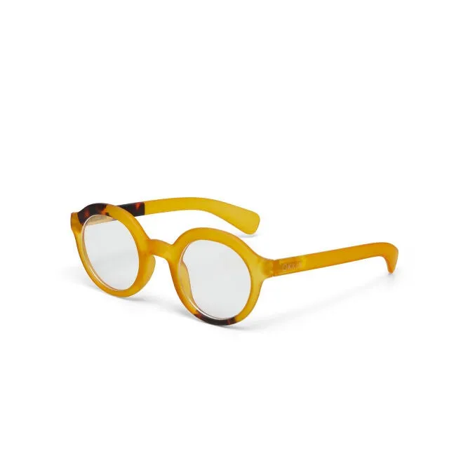 Eyeglasses LAURO OK041-Y3H