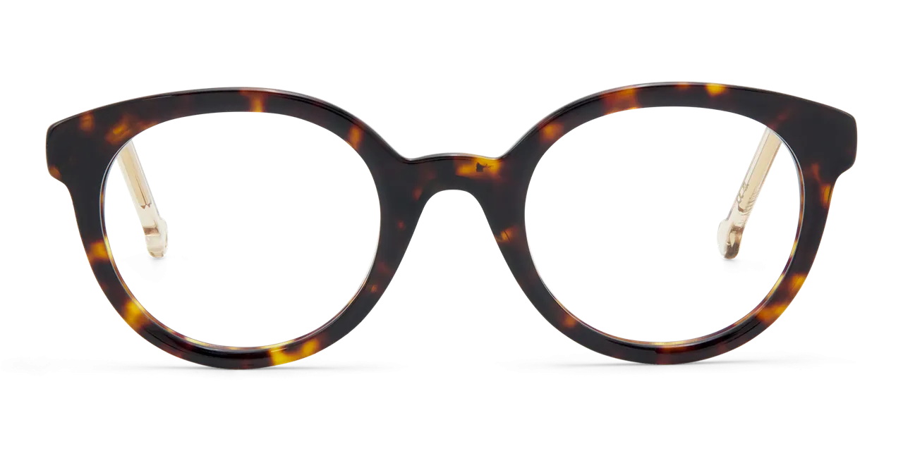 EYEGLASSES LOU