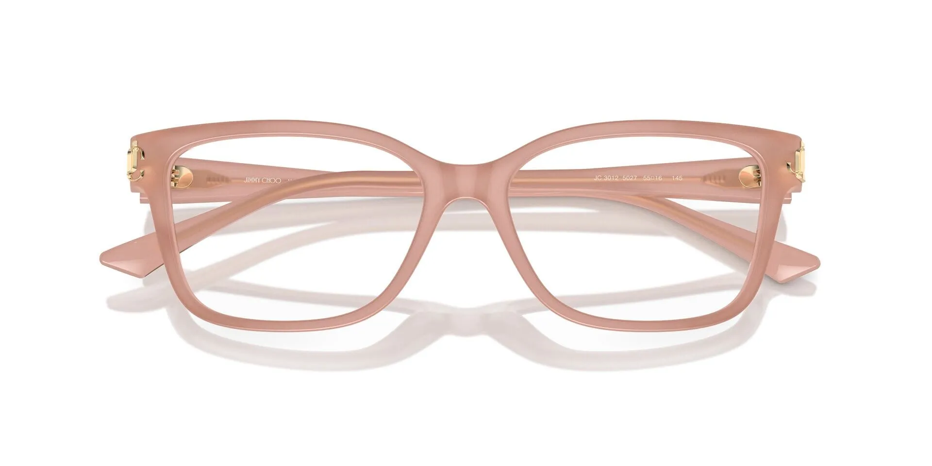 Jimmy Choo JC3012 5027