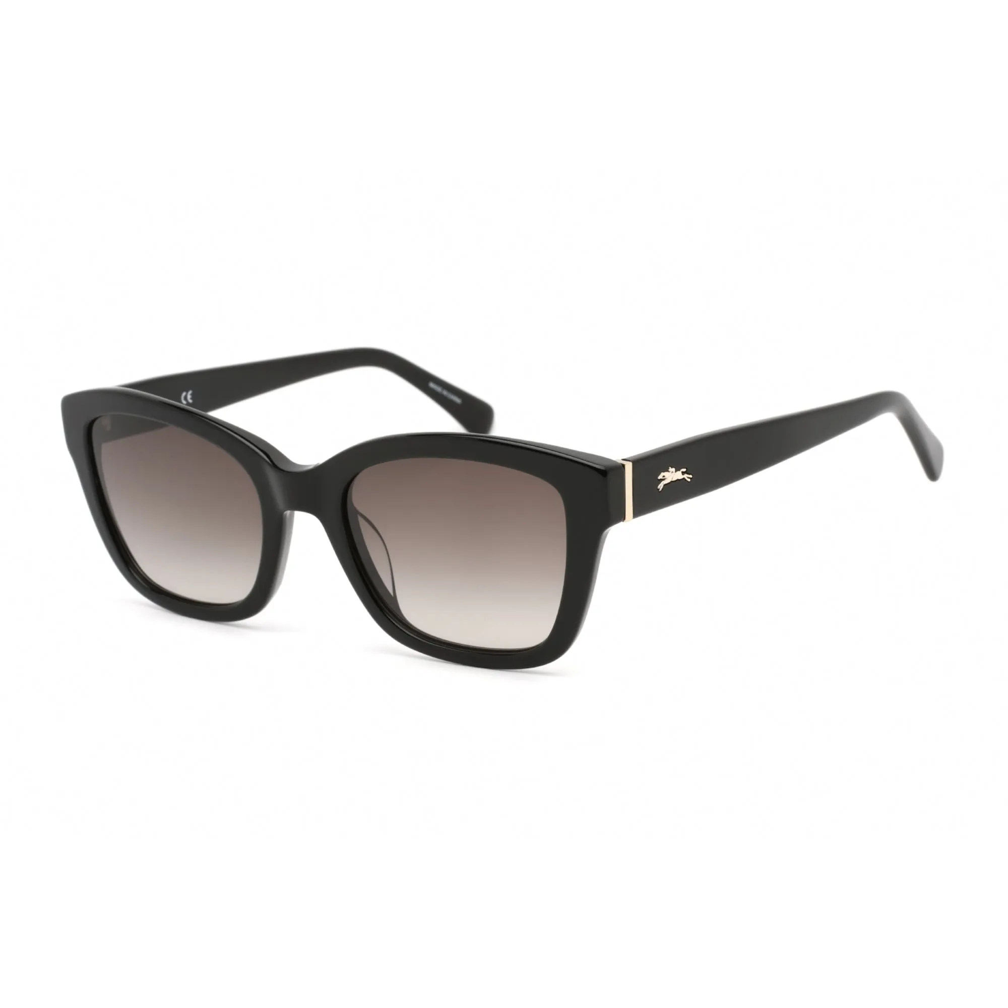 Longchamp Women's Sunglasses - Black Acetate Cat Eye Full Rim Shape Frame| LO632S 001