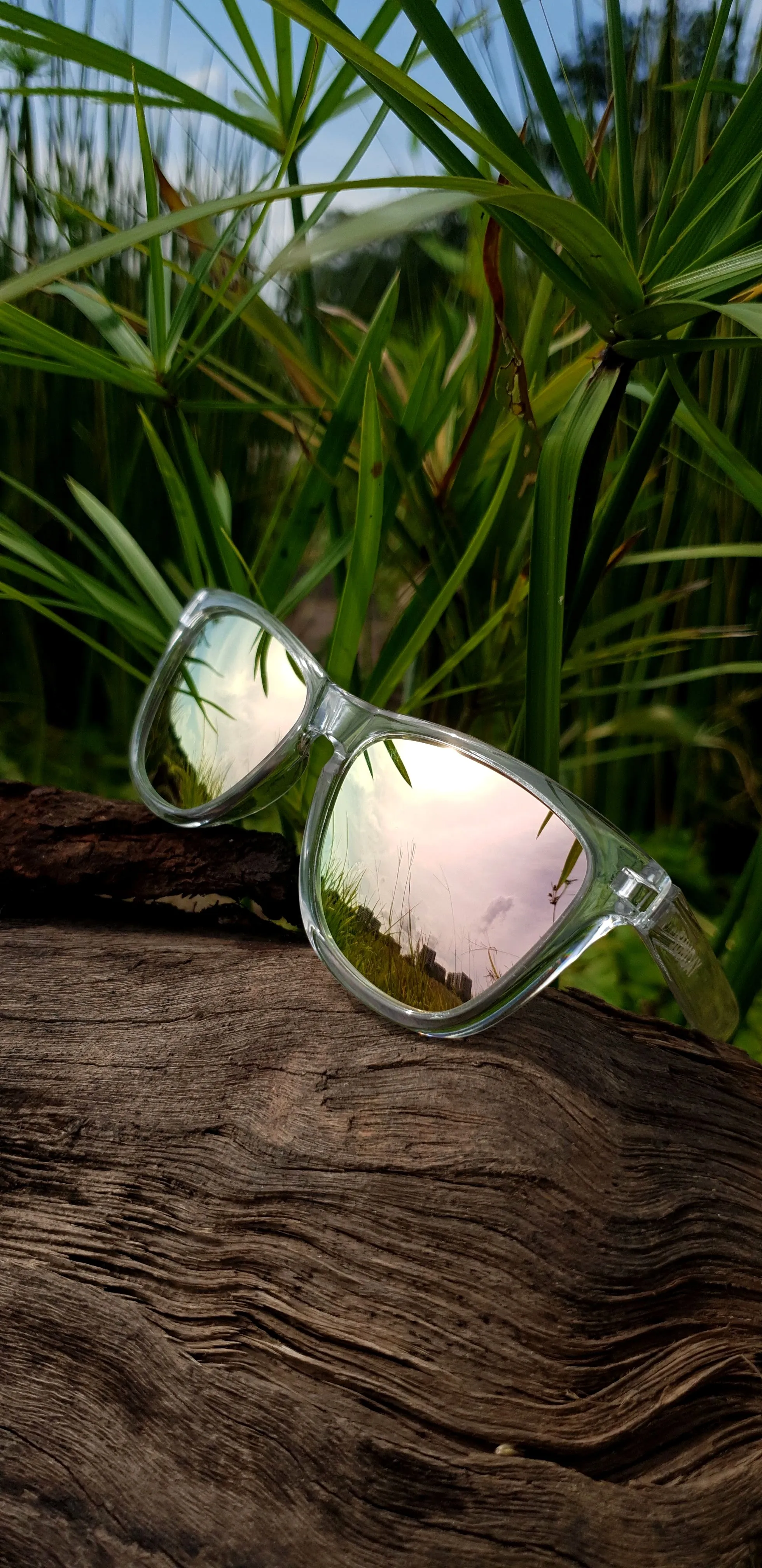 LUCID - ROSE CLASSIC