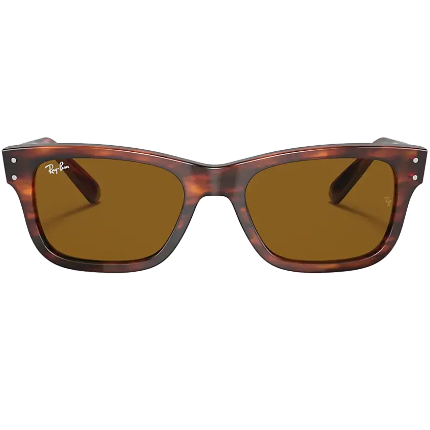 Mr. Burbank Striped Havana Tortoise/Brown