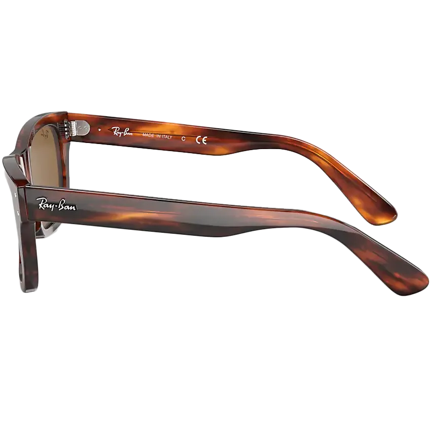 Mr. Burbank Striped Havana Tortoise/Brown