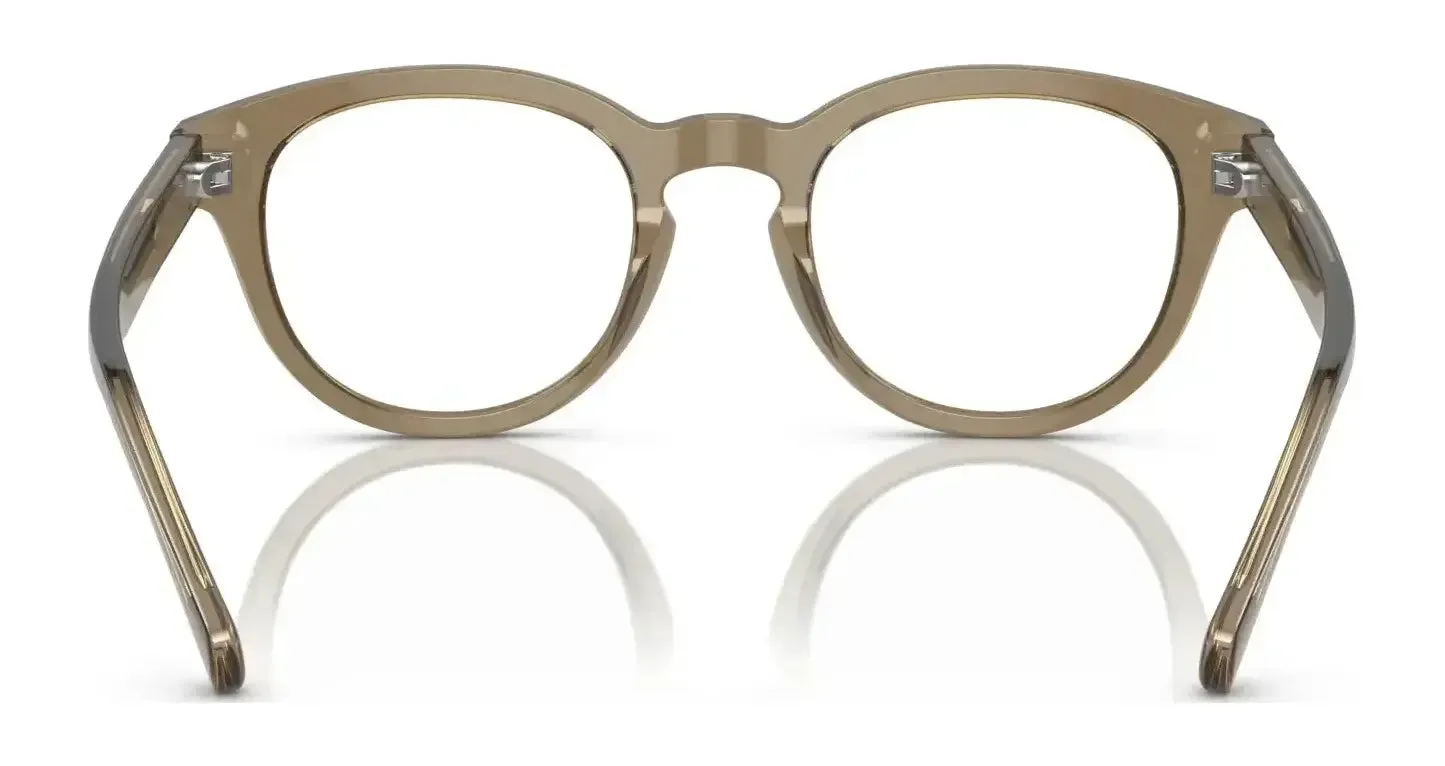 Polo PH2262F Eyeglasses | Size 50