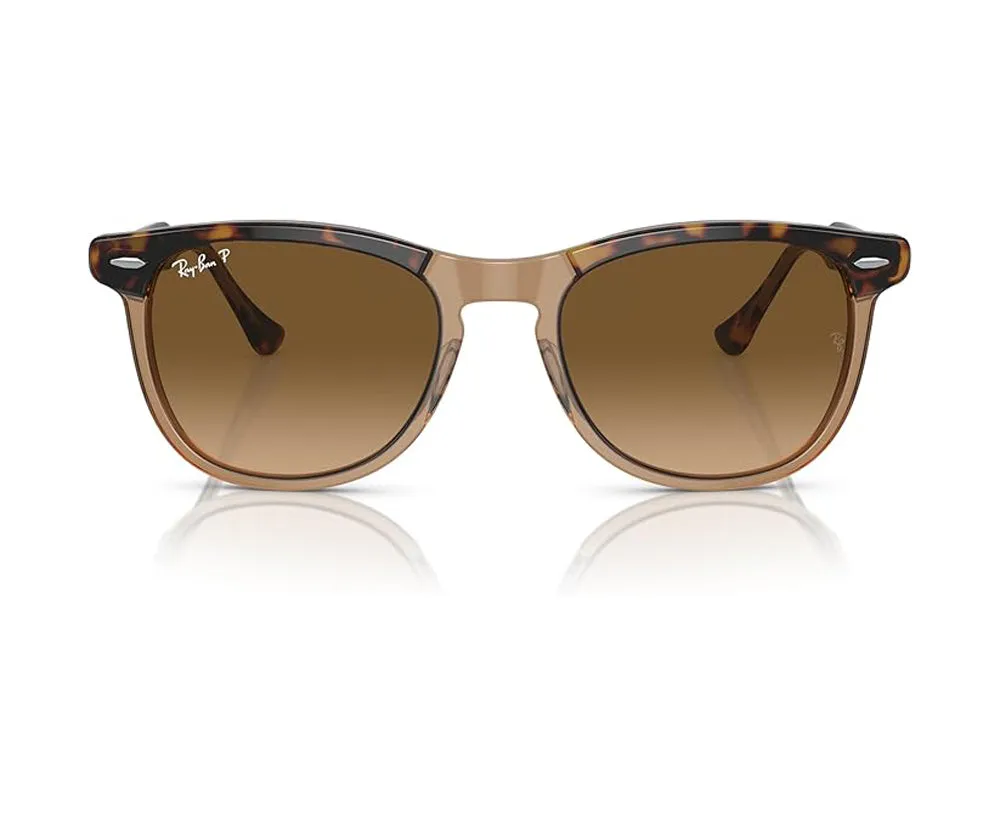 Ray Ban Eagleeye Sunglasses