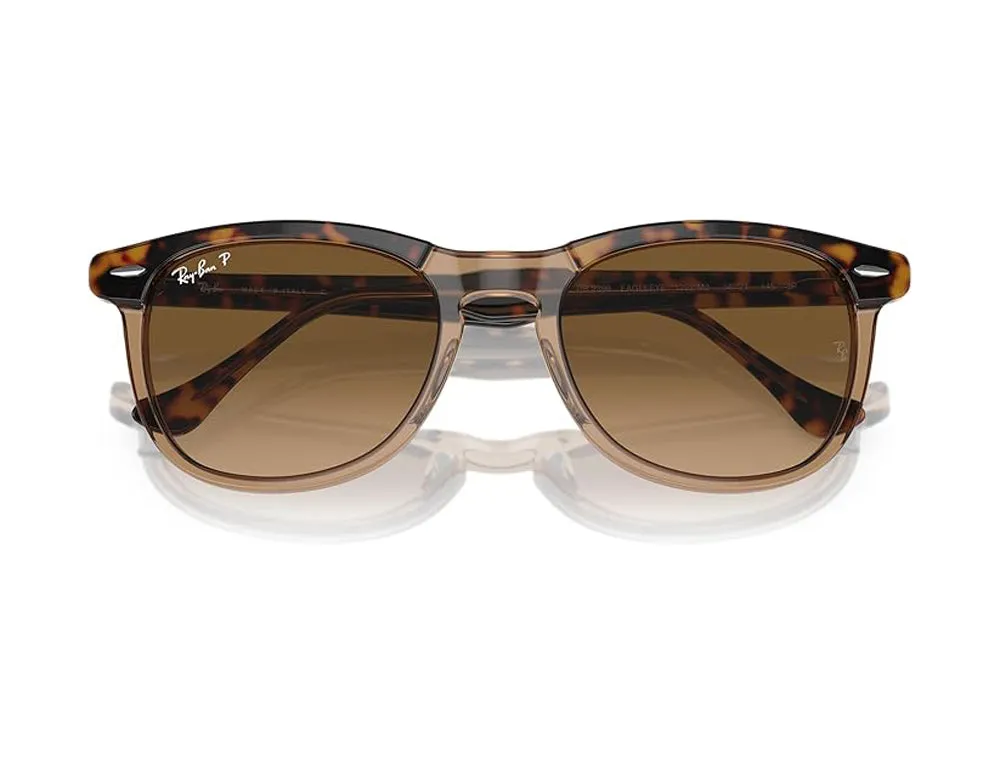 Ray Ban Eagleeye Sunglasses