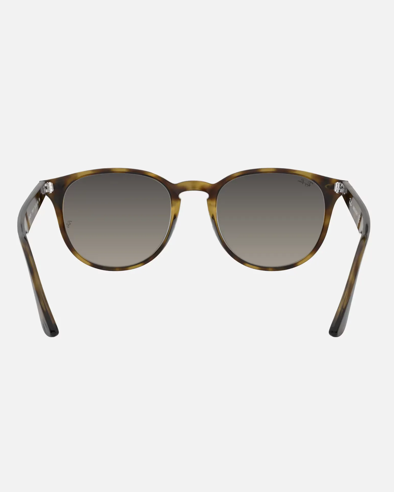 RB4259 Sunglasses in Grey