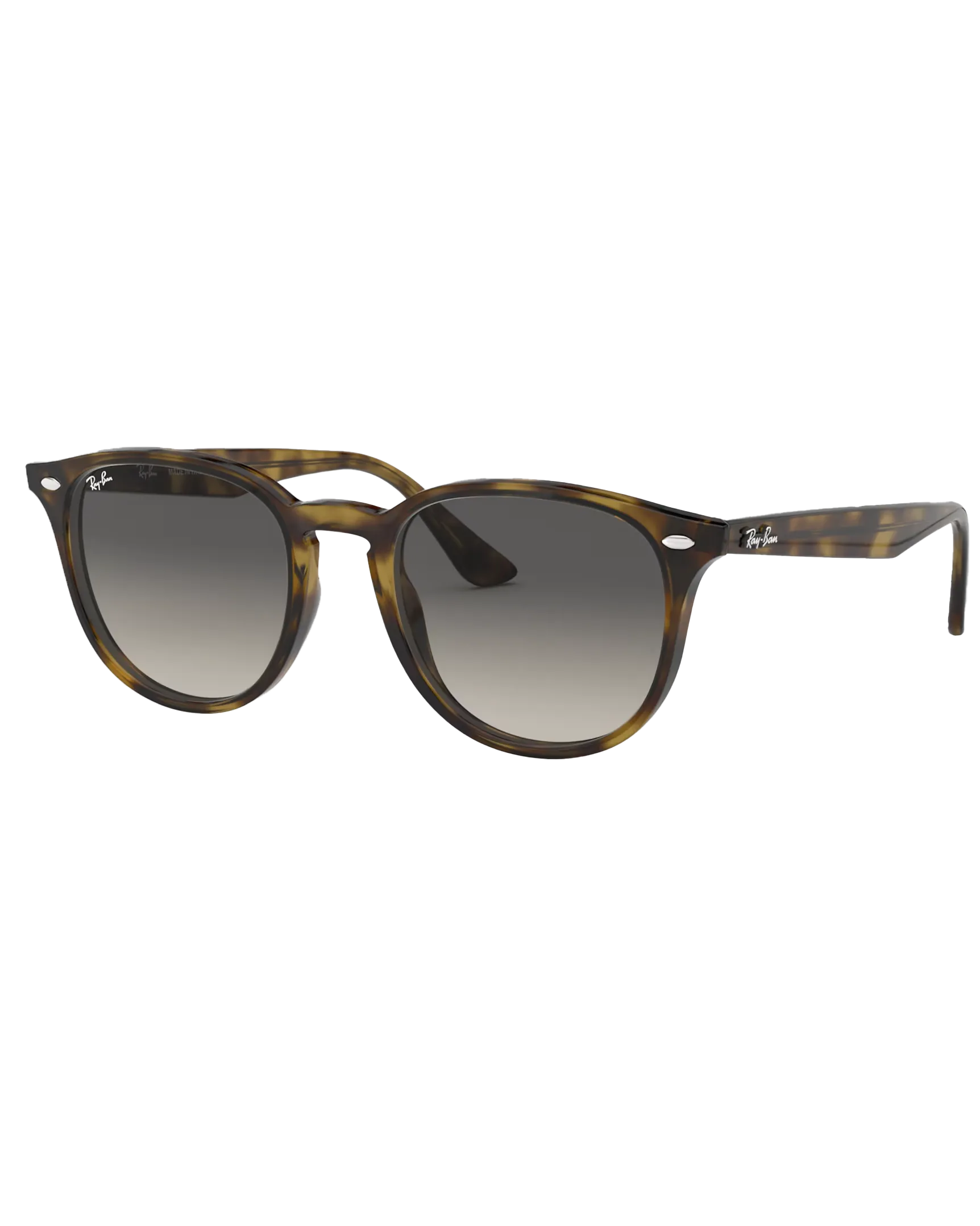 RB4259 Sunglasses in Grey