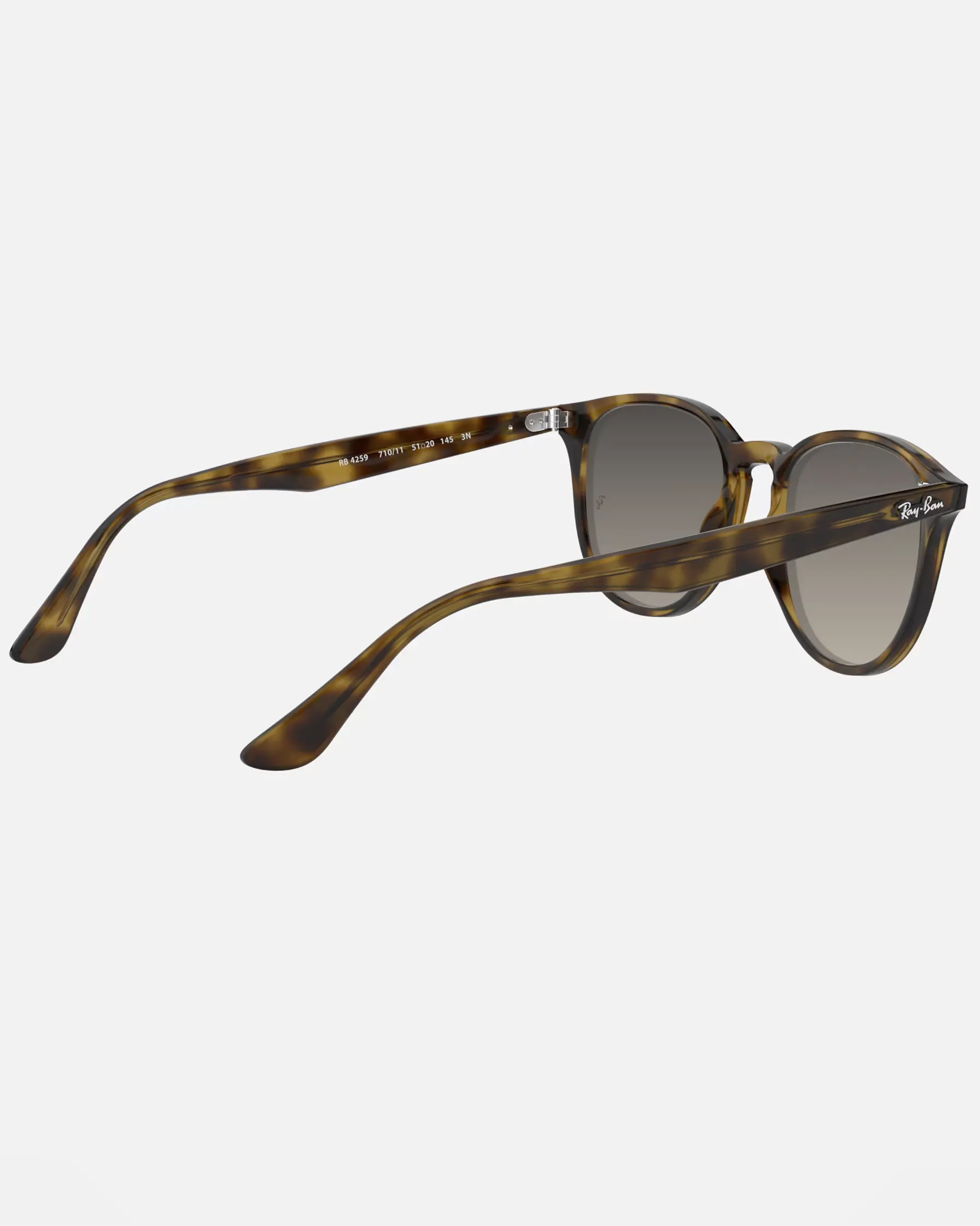 RB4259 Sunglasses in Grey