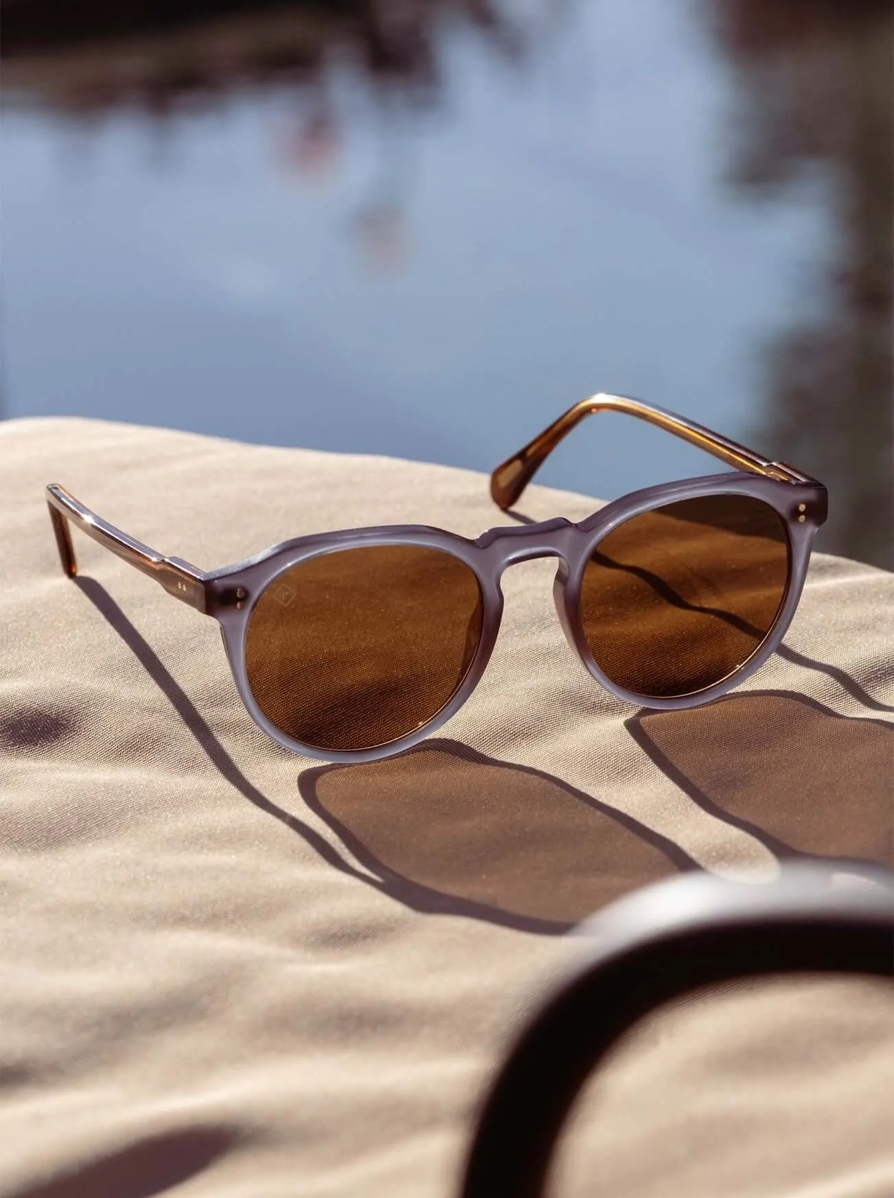 REMMY-Cirus / Vibrant Brown Polarized-52