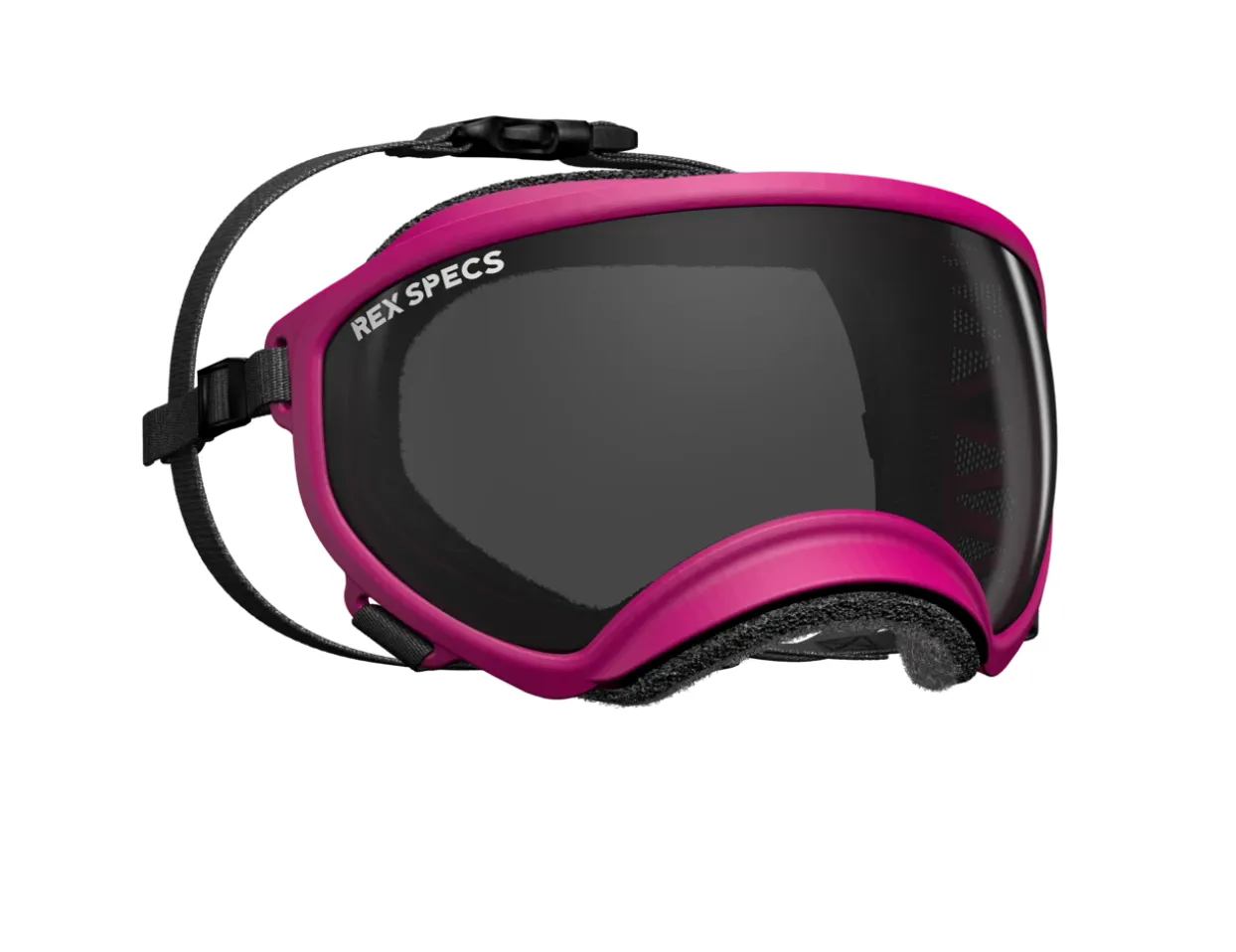 Rex Specs (V1)