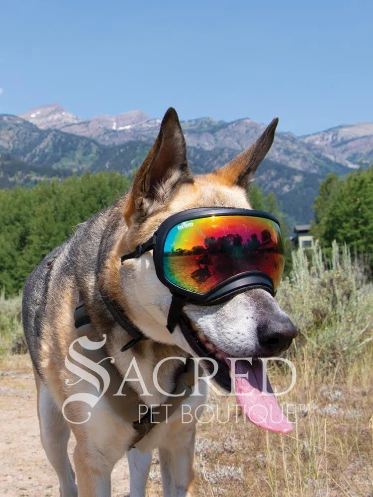 Rex Specs (V1)