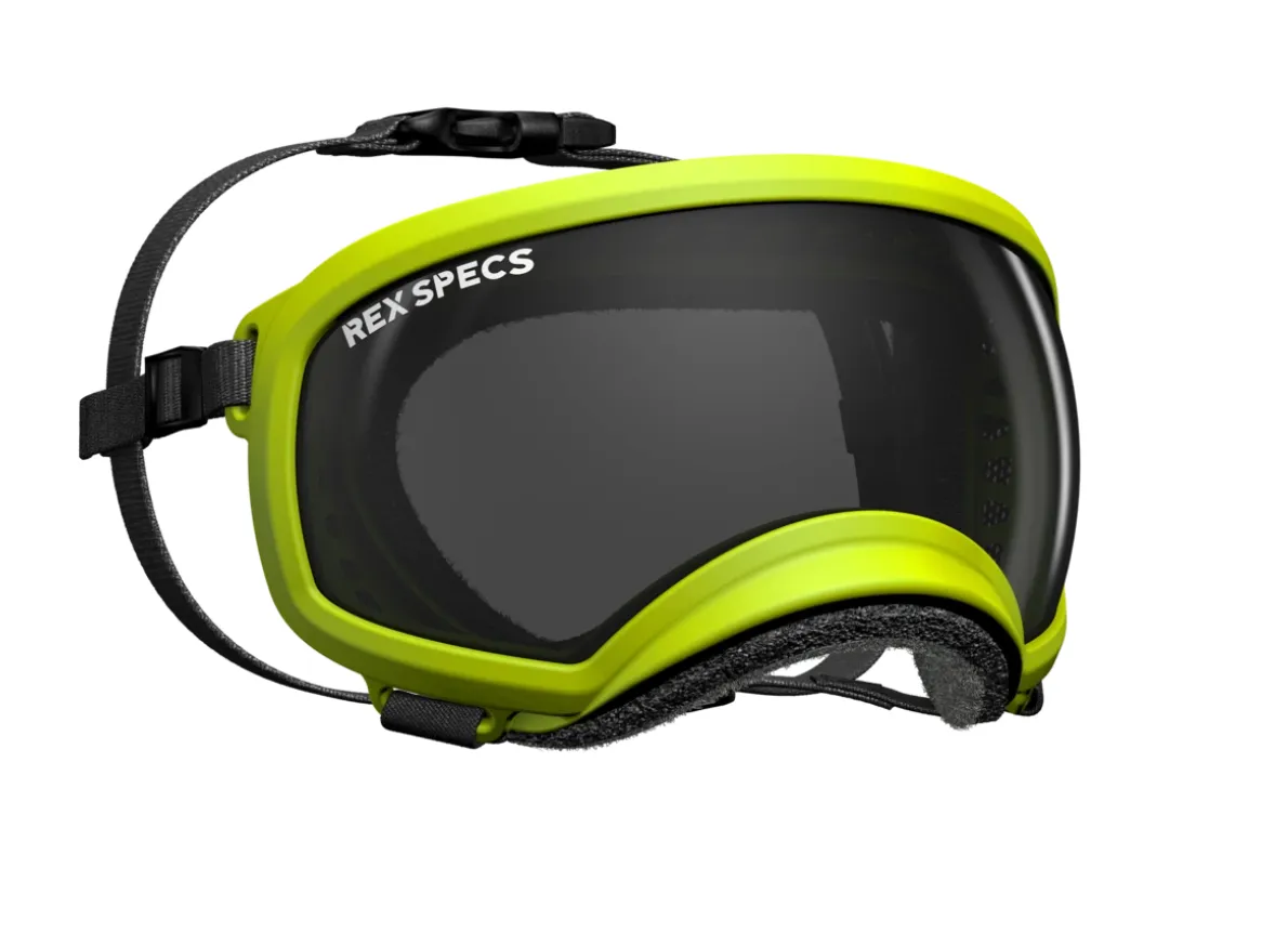 Rex Specs (V1)