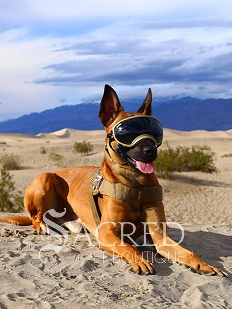 Rex Specs (V1)