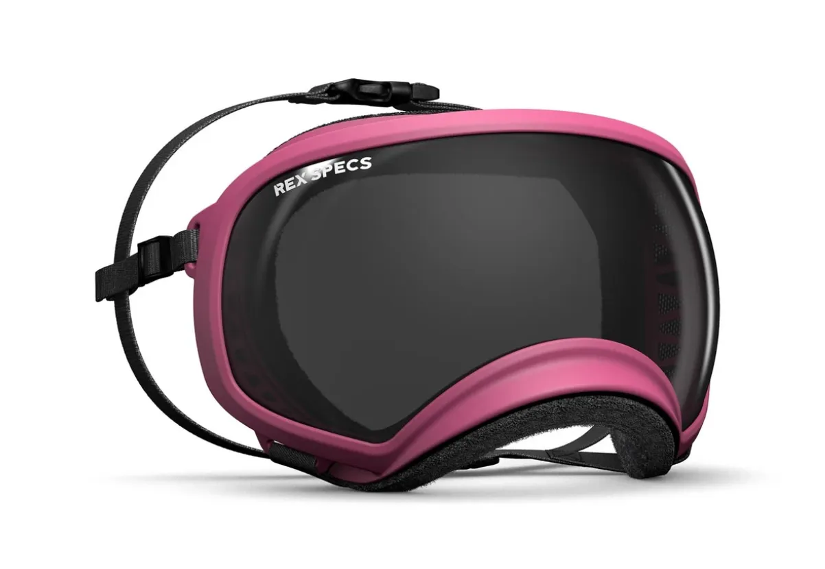 Rex Specs (V1)