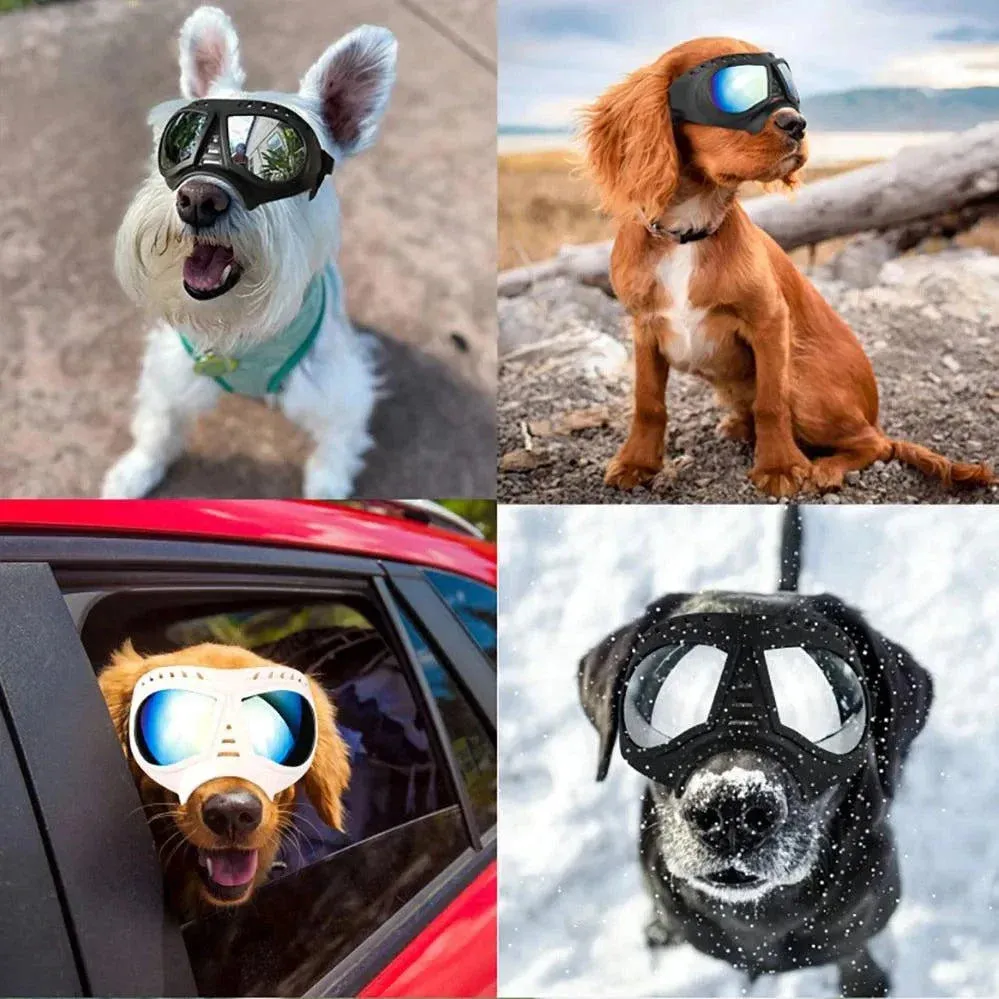 Tactical Dog Glasses