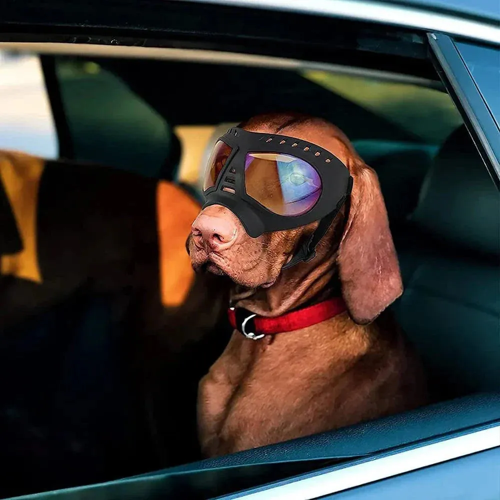 Tactical Dog Glasses