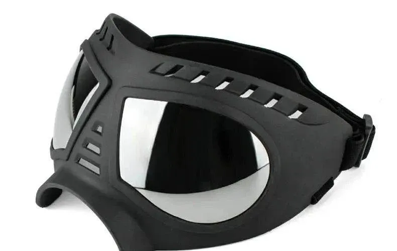 Tactical Dog Glasses