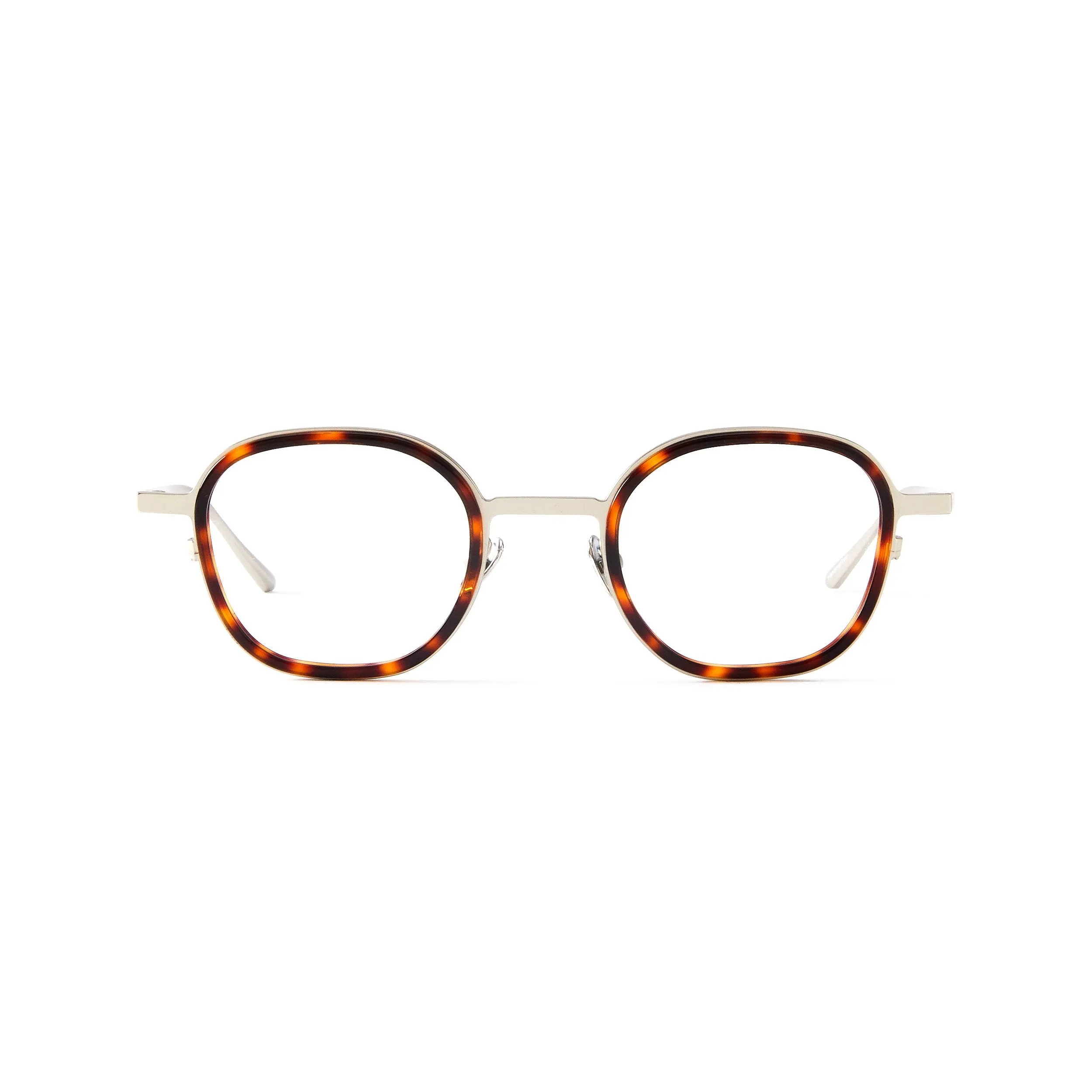Thierry Blue Light Tortoise & Mat Silver